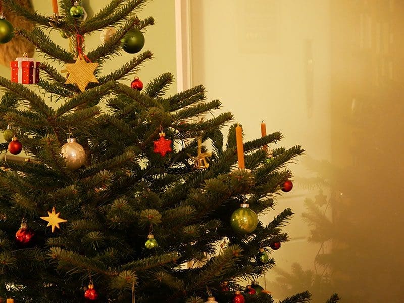 Decorated christmas tree with red and green ornaments, star embellishments, and candle lights, partially illuminated in a dimly lit room.