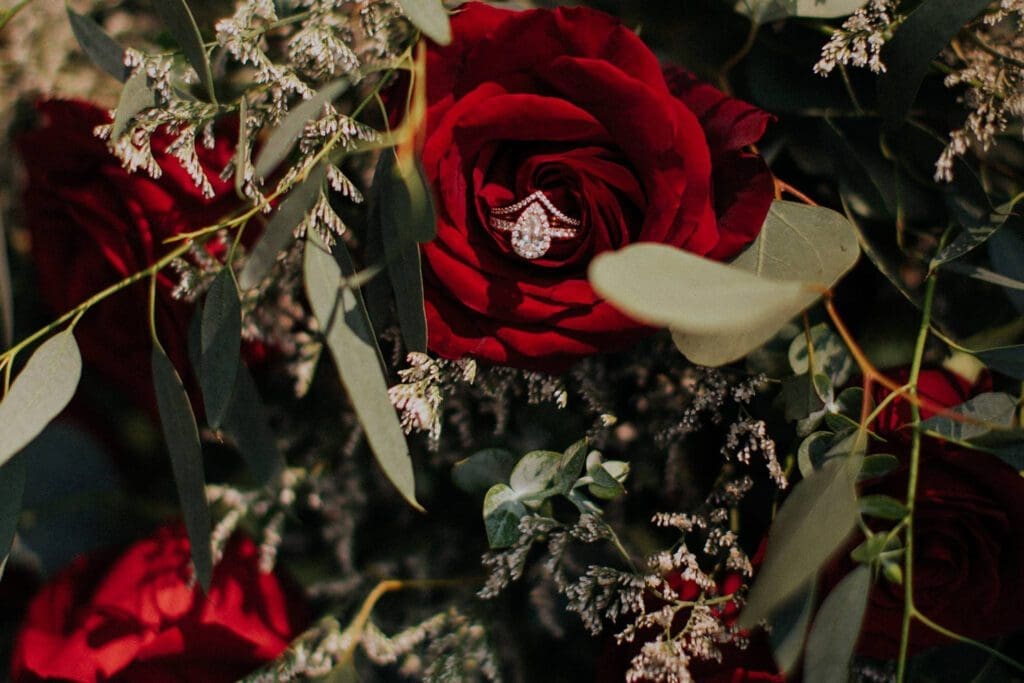 A close-up image of a vibrant red rose with a diamond ring nestled in its petals, surrounded by soft greenery and tiny white flowers.