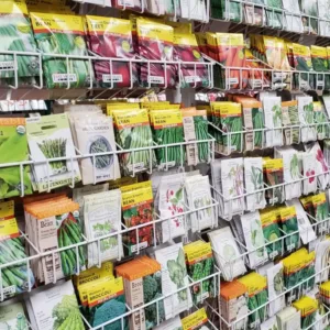 Wall-mounted display of various seed packets organized in rows at a store, featuring different types of vegetables, flowers, and trees.